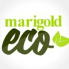 marigold Eco