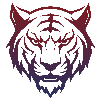 TecTigers ltd