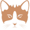 SanJoseBengalCats